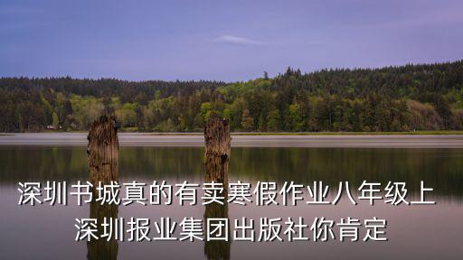 深圳書城真的有賣寒假作業八年級上 深圳報業集團出版社你肯定