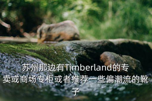 蘇州那邊有Timberland的專賣或商場專柜或者推薦一些偏潮流的靴子