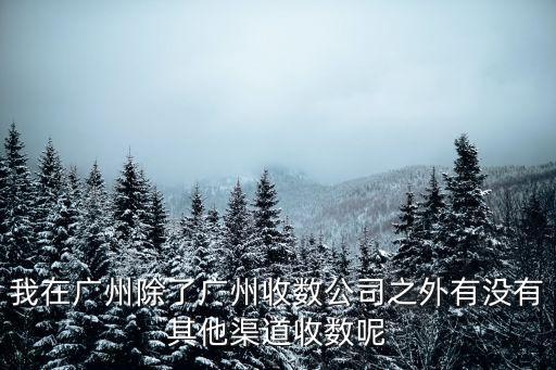 廣州收數(shù)公司，廣州收賬公司哪家牛