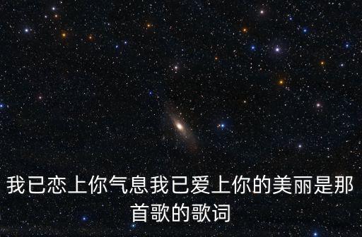 我已戀上你氣息我已愛上你的美麗是那首歌的歌詞