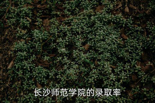 長沙師范，長沙師范學院的錄取率