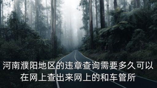 河南違章查詢，河南濮陽地區的違章查詢需要多久可以在網上查出來網上的和車管所