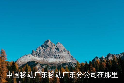 中國移動廣東分公司，中國移動廣東移動廣東分公司在那里