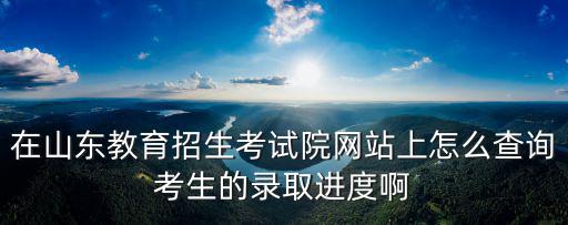 在山東教育招生考試院網站上怎么查詢考生的錄取進度啊