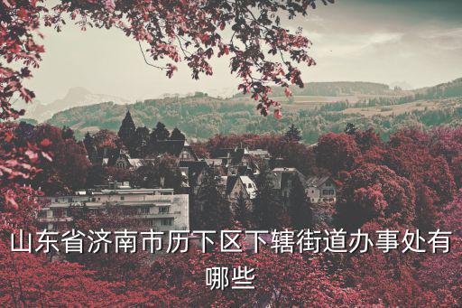 濟南市歷下區，濟南市歷下區立德小學怎么樣