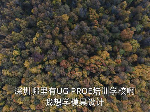 深圳模具設計培訓，深圳哪里有UG PROE培訓學校啊我想學模具設計