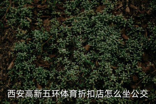 西安高新五環體育折扣店怎么坐公交