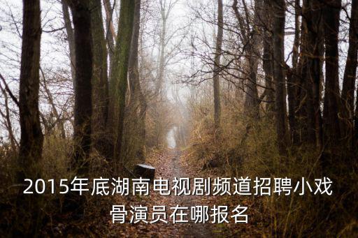 湖南廣電招聘，2015年底湖南電視劇頻道招聘小戲骨演員在哪報名