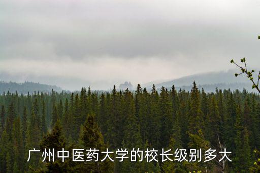 廣州中醫(yī)藥大學(xué)的校長(zhǎng)級(jí)別多大