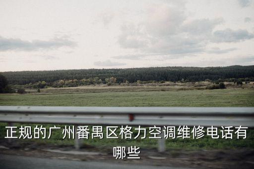 正規(guī)的廣州番禺區(qū)格力空調(diào)維修電話有哪些