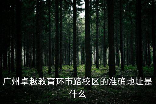 廣州卓越教育環市路校區的準確地址是什么