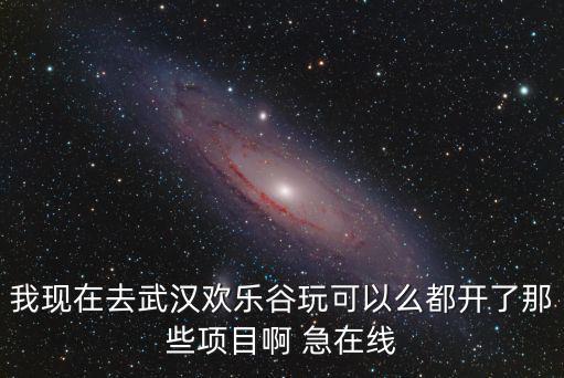 我現在去武漢歡樂谷玩可以么都開了那些項目啊 急在線