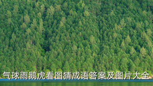 氣球雨鵝虎看圖猜成語答案及圖片大全