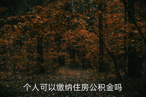 個人可以繳納住房公積金嗎