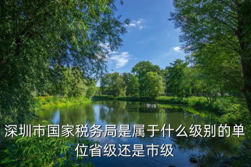 深圳市國家稅務局是屬于什么級別的單位省級還是市級