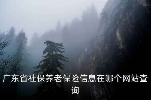 廣東省社保養(yǎng)老保險(xiǎn)信息在哪個(gè)網(wǎng)站查詢