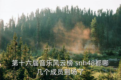郝婉晴，snh48這三個叫什么