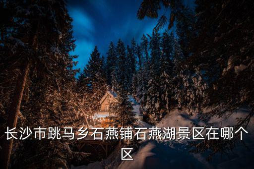 長沙跳馬，長沙跳馬鎮(zhèn)的新線路公交車開通沒有