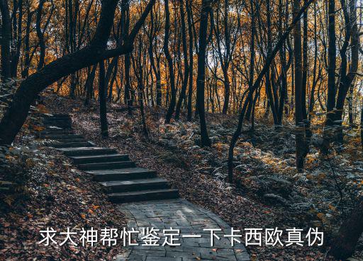 求大神幫忙鑒定一下卡西歐真偽