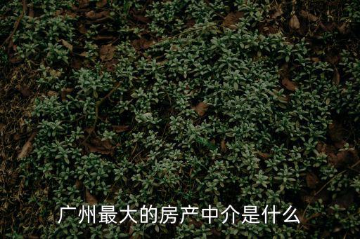 廣州最大的房產(chǎn)中介是什么
