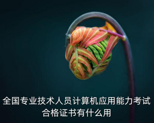 全國專業技術人員計算機應用能力考試合格證書有什么用