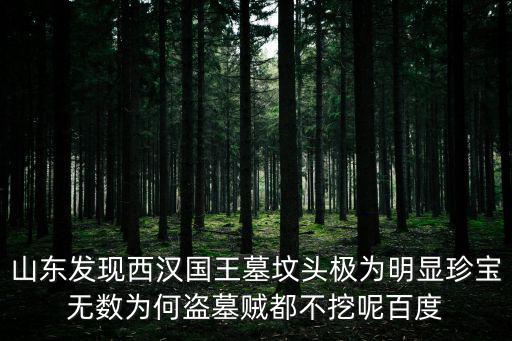 山東發現西漢國王墓墳頭極為明顯珍寶無數為何盜墓賊都不挖呢百度