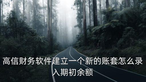 高信財務軟件建立一個新的賬套怎么錄入期初余額