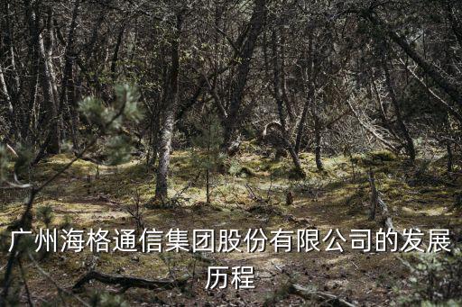 廣州海格通信集團股份有限公司的發展歷程