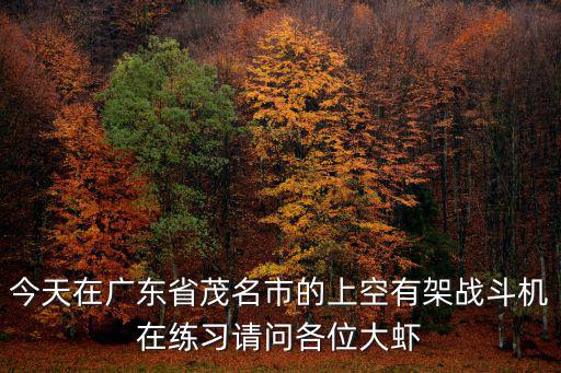 今天在廣東省茂名市的上空有架戰斗機在練習請問各位大蝦
