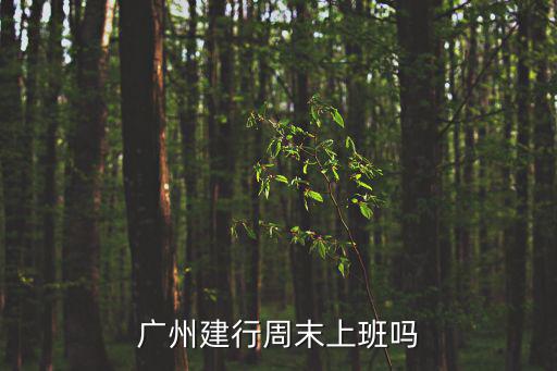 廣州建行周末上班嗎