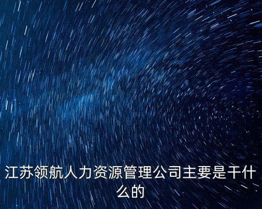 江蘇領航人力資源管理公司主要是干什么的