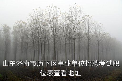 山東濟南市歷下區事業單位招聘考試職位表查看地址