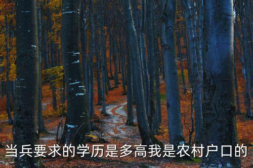 當兵要求的學歷是多高我是農村戶口的