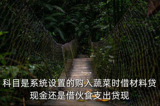 蔬菜采購平臺，科目是系統設置的購入蔬菜時借材料貸現金還是借伙食支出貸現