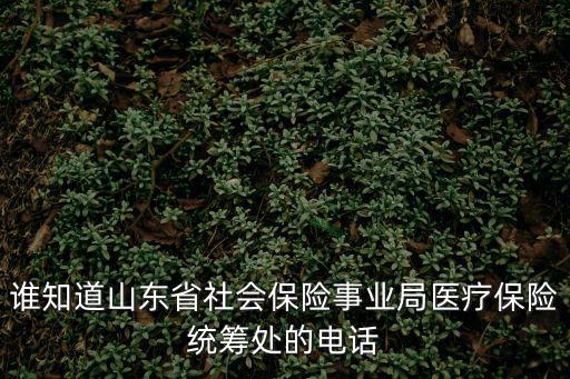 誰知道山東省社會(huì)保險(xiǎn)事業(yè)局醫(yī)療保險(xiǎn)統(tǒng)籌處的電話