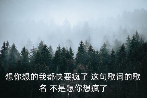 想你想的我都快要瘋了 這句歌詞的歌名 不是想你想瘋了