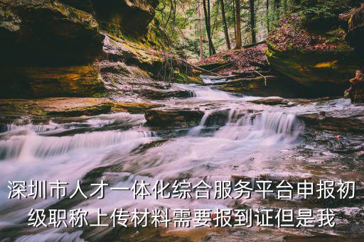 深圳市人才一體化綜合服務平臺申報初級職稱上傳材料需要報到證但是我