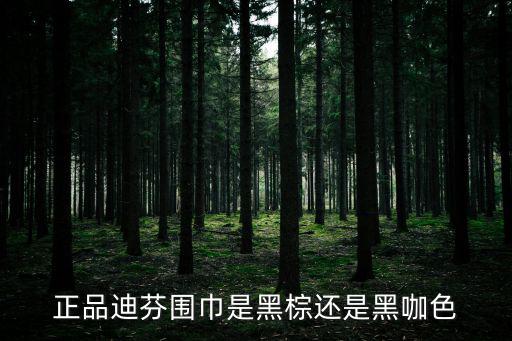 正品迪芬圍巾是黑棕還是黑咖色