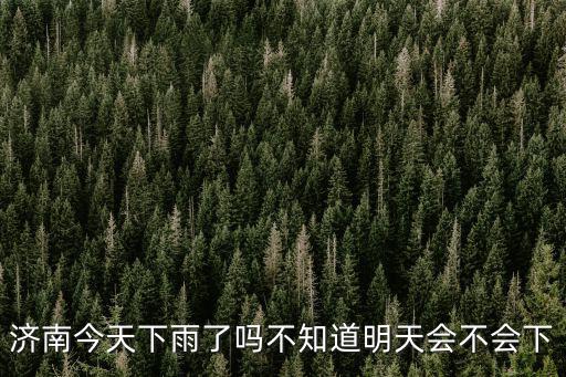濟南今天下雨了嗎不知道明天會不會下