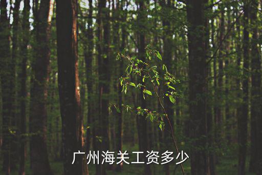 廣州海關(guān)工資多少