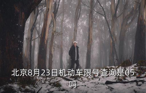 北京8月23日機(jī)動(dòng)車限號(hào)查詢是05嗎