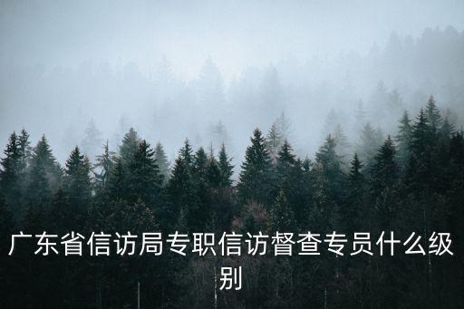 廣東省信訪局專職信訪督查專員什么級別