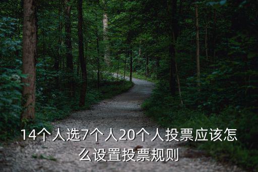 14個(gè)人選7個(gè)人20個(gè)人投票應(yīng)該怎么設(shè)置投票規(guī)則