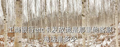工商銀行etc卡發(fā)放地是那里他客服電話是多少