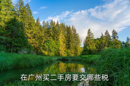 在廣州買二手房要交哪些稅
