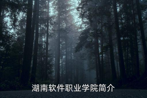湖南軟件學院，湖南軟件職業學院學費是一學期還是一年