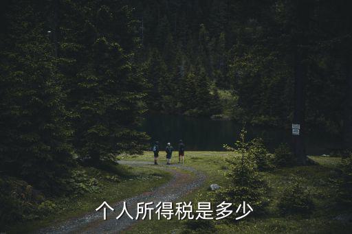 個人所得稅稅率是多少，個人所得稅稅率為多少