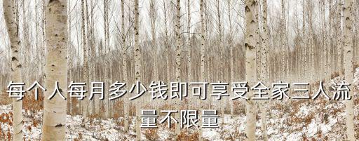 每個人每月多少錢即可享受全家三人流量不限量