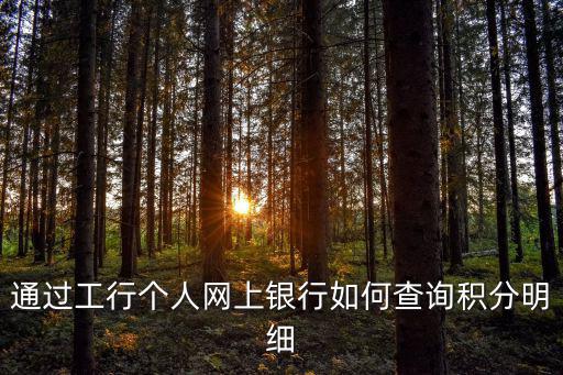 通過工行個人網上銀行如何查詢積分明細