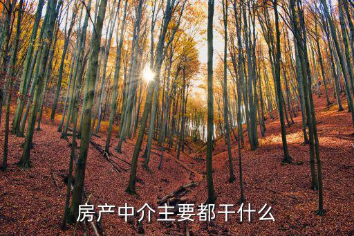 房產(chǎn)中介主要都干什么